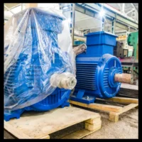 Electric Screw Press Motor